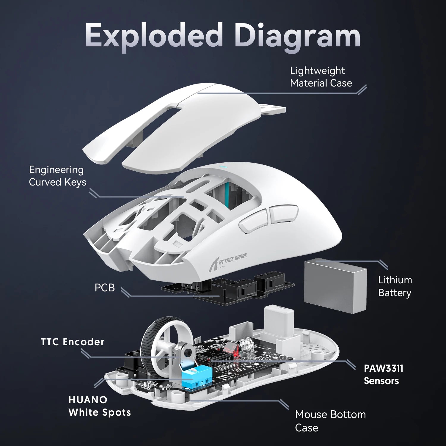 Computer & Peripherals