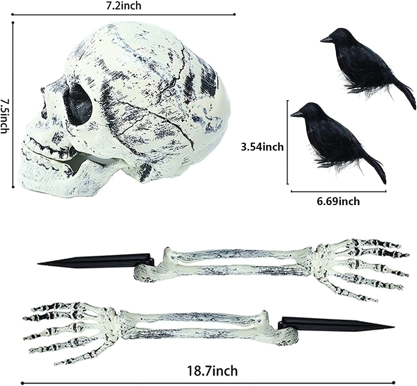Decor Skull and Two Crows Set