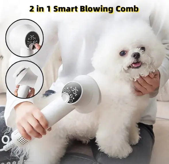 Smart Home