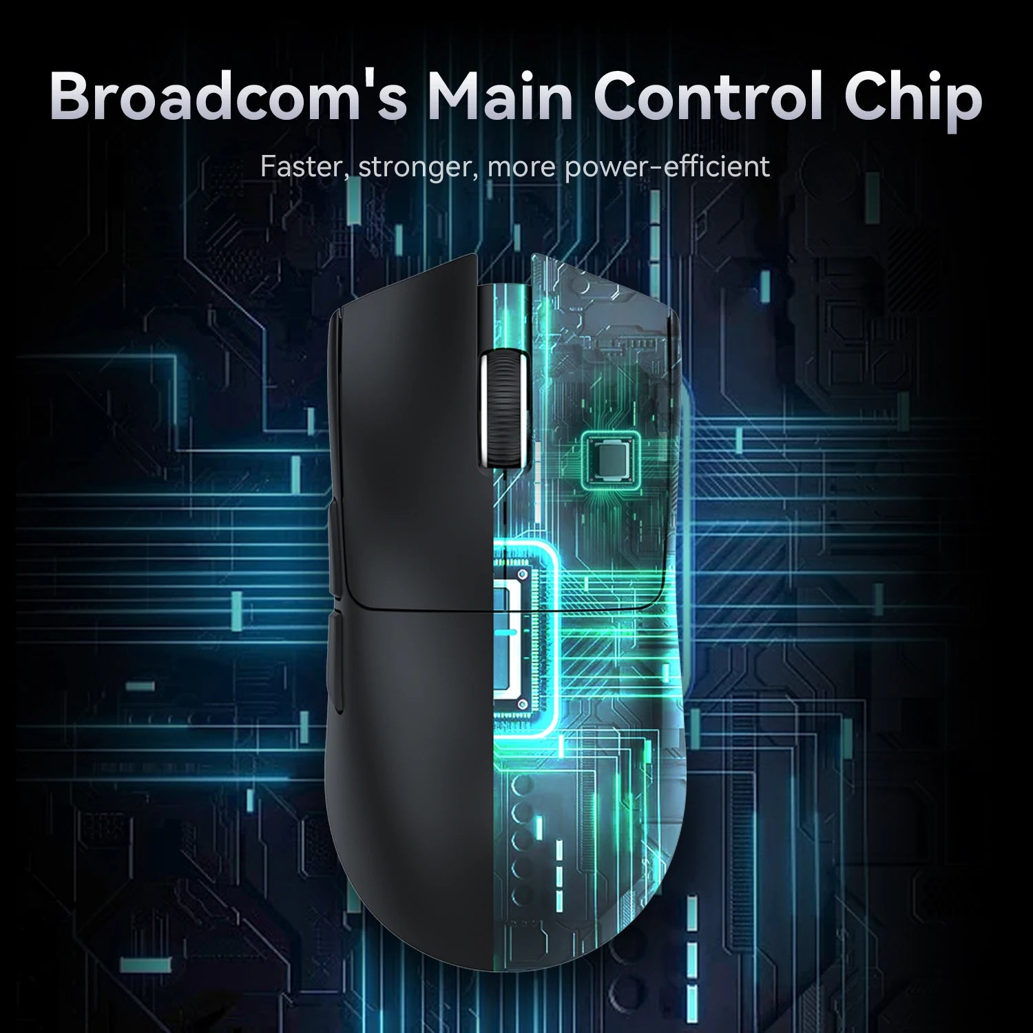 Computer & Peripherals