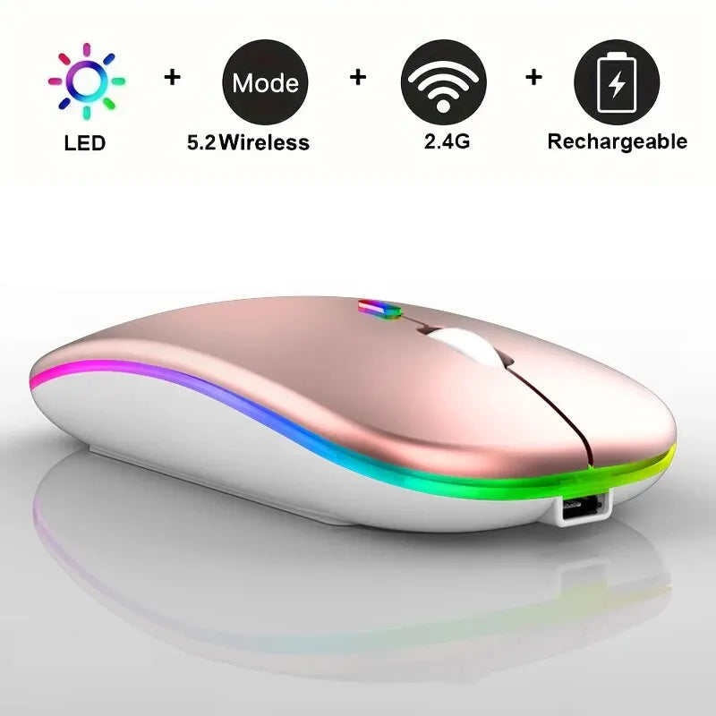 Computer & Peripherals