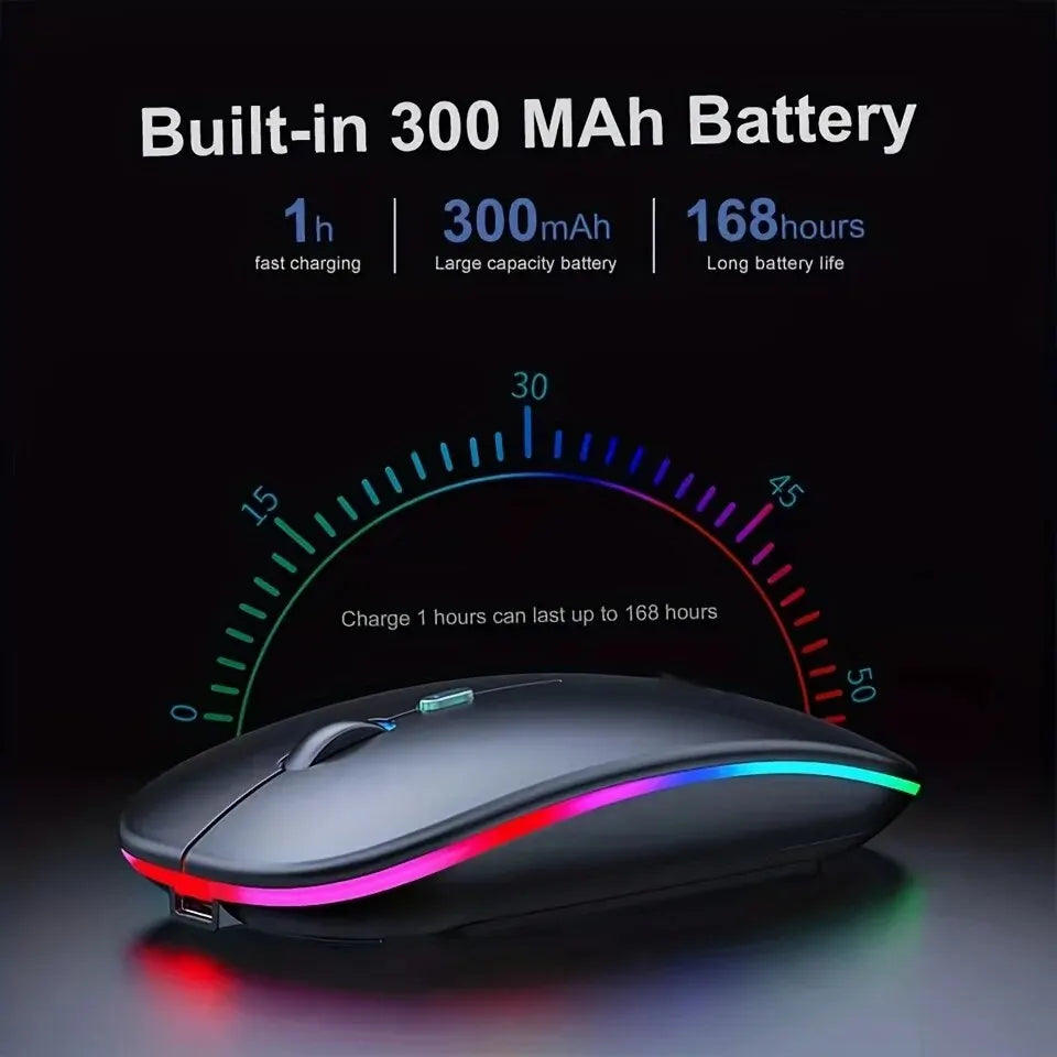 Computer & Peripherals