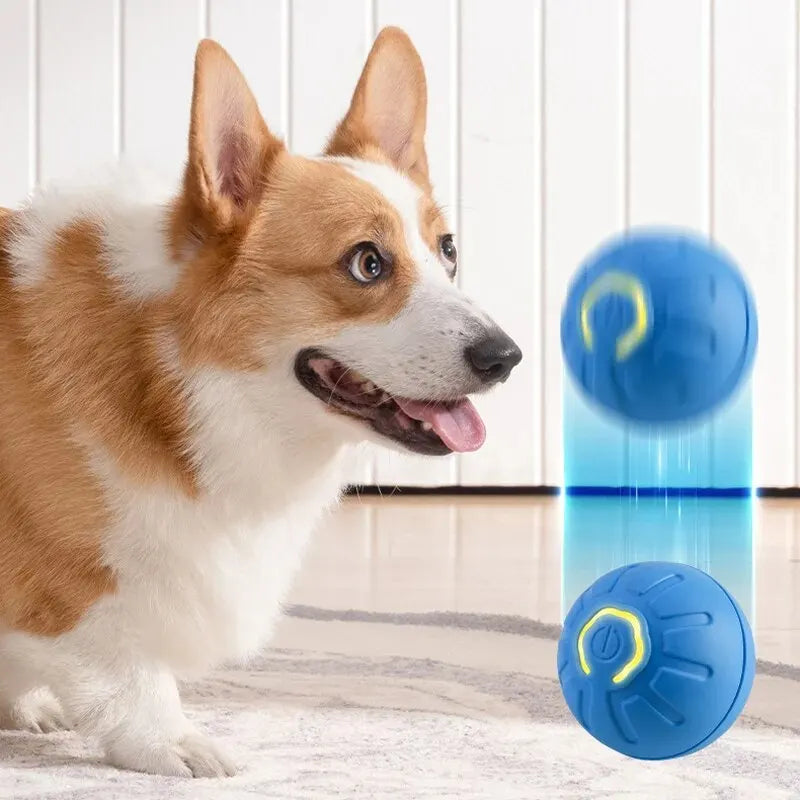 1pcs Automatic Moving Dog Toy Ball Smart USB Jumping Rotating Interactive Dog Chew Toy Ball for Puppy Ball Toys