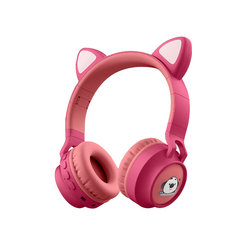 Audio & Music Passion fan