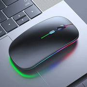 Computer & Peripherals
