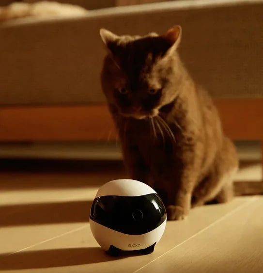 EBO SE / AIR Smart Home Robot - Mobile Companion with Camera, Pet Care & Security
