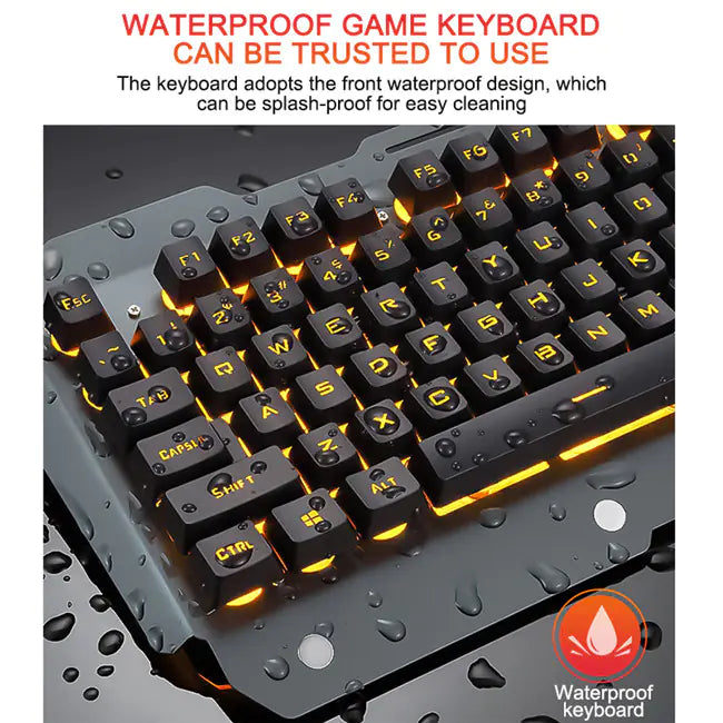 Computer & Peripherals