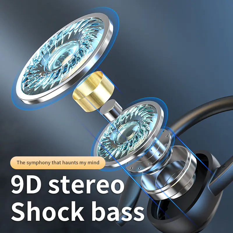 Aptus Praxis S260 TWS Earbuds with Smart Digital Display