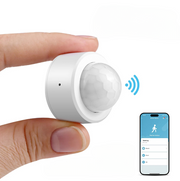 Smart Home