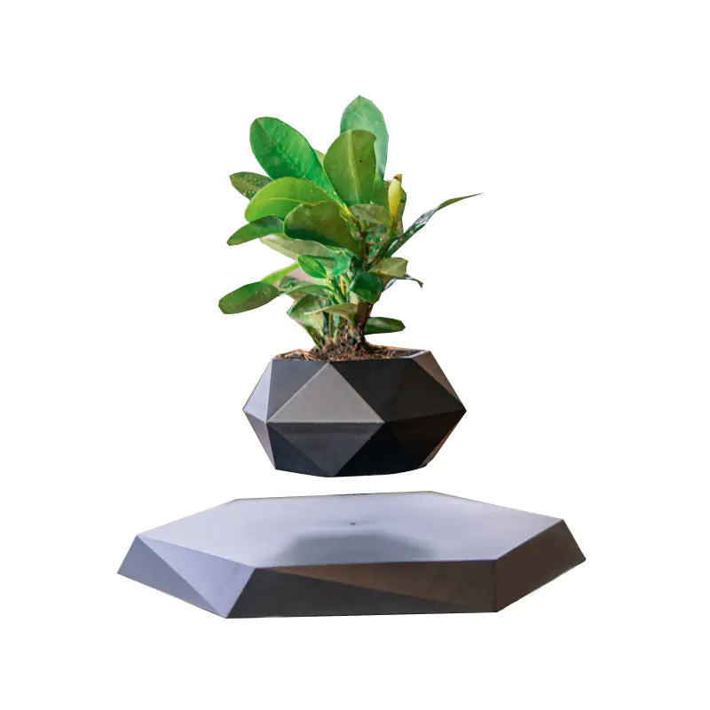 Mobile & Tablet Black (without plants)