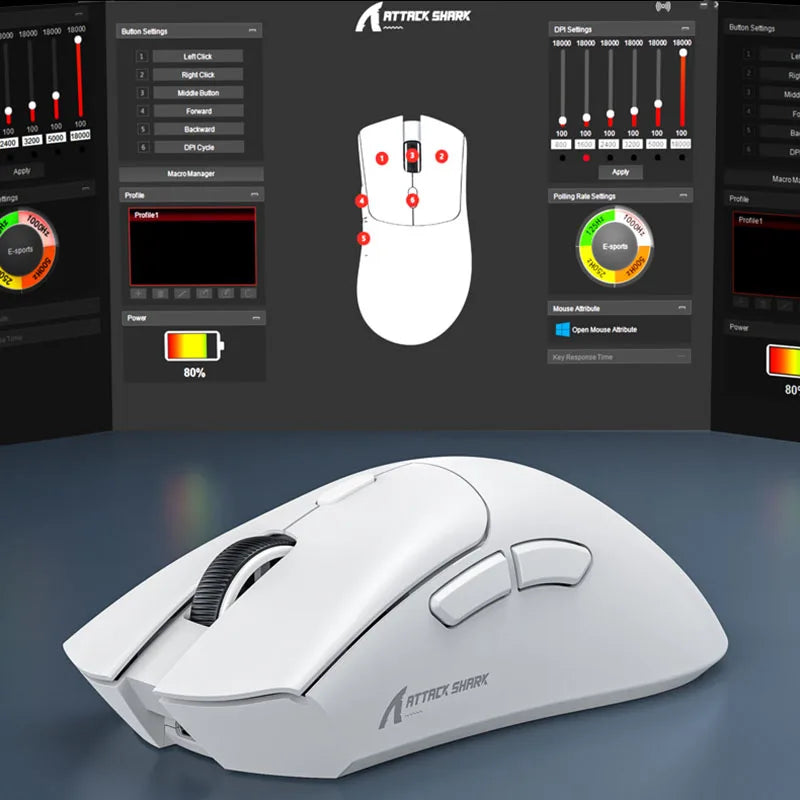 Computer & Peripherals