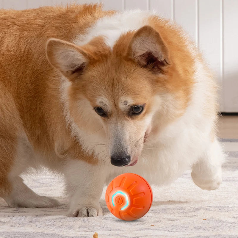 1pcs Automatic Moving Dog Toy Ball Smart USB Jumping Rotating Interactive Dog Chew Toy Ball for Puppy Ball Toys