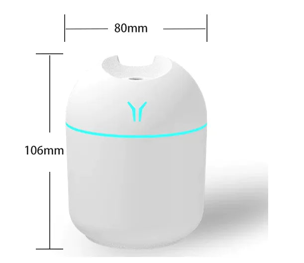 Compact Mist Humidifier