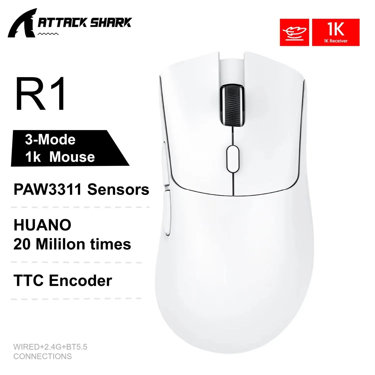 Computer & Peripherals