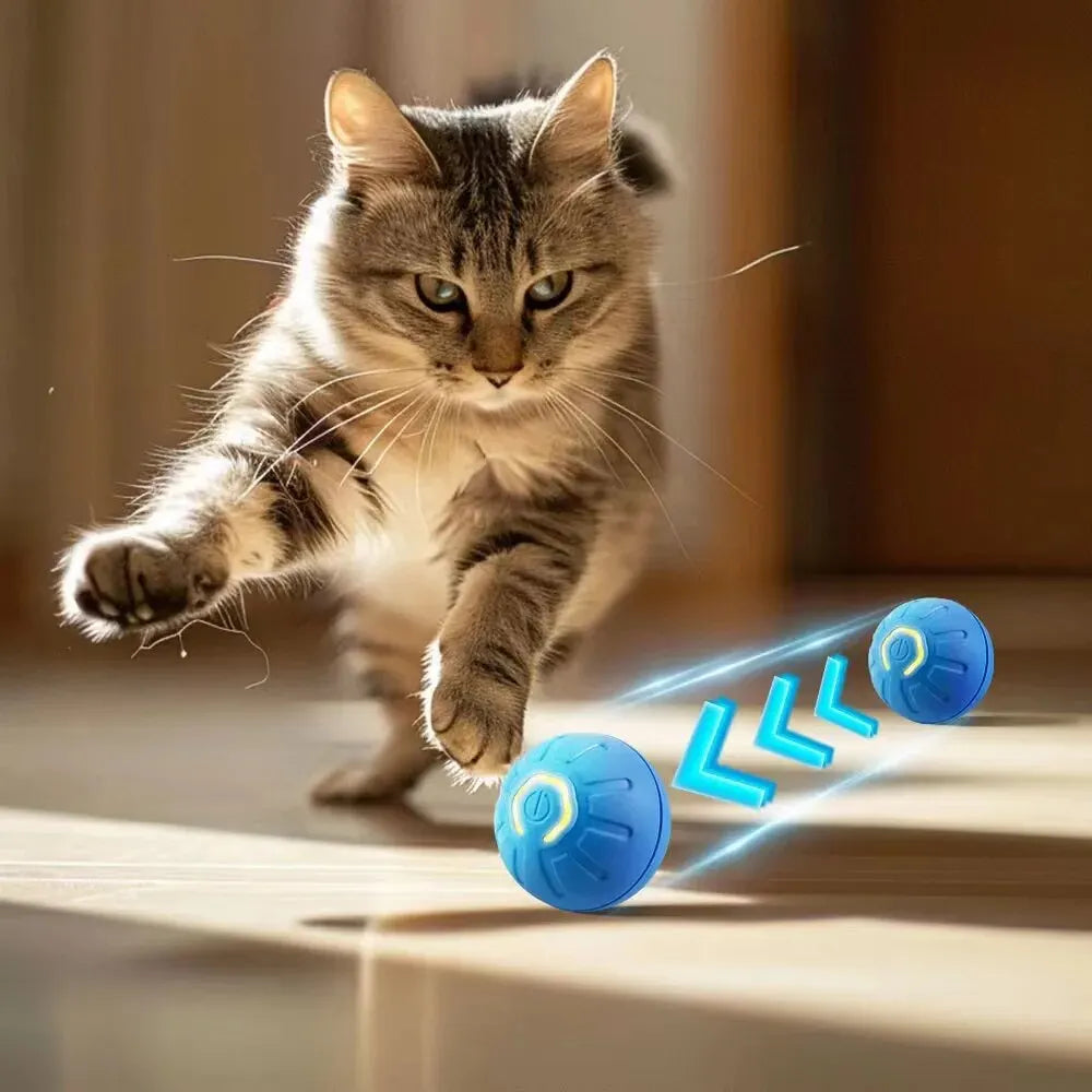 1pcs Automatic Moving Dog Toy Ball Smart USB Jumping Rotating Interactive Dog Chew Toy Ball for Puppy Ball Toys