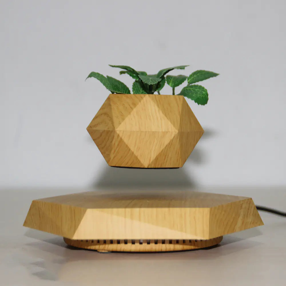 Magnetic Levitation Flower Pot - Craftsmanship Design