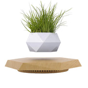 Mobile & Tablet White flower pot (without plants)