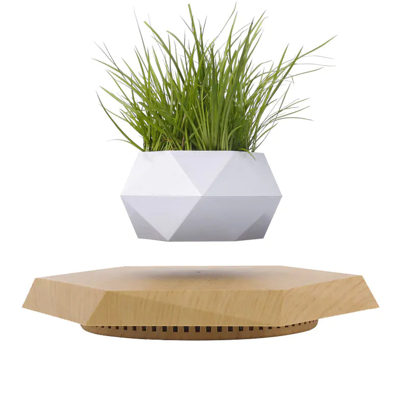 Mobile & Tablet White flower pot (without plants)