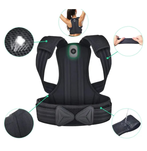 Computer & Peripherals