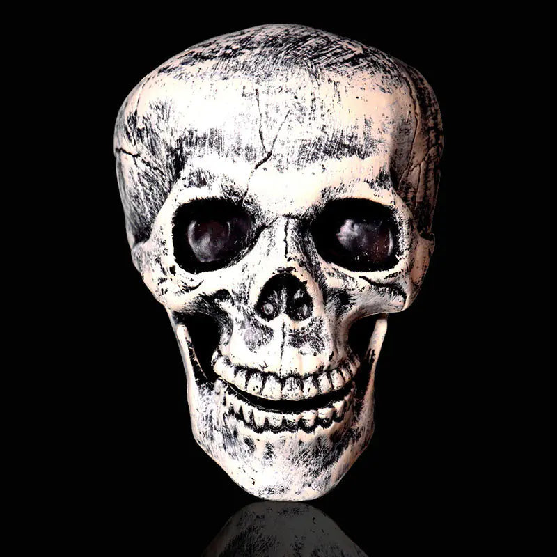 Decor Single Head