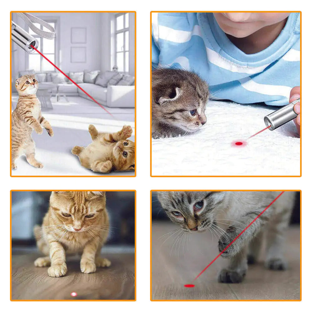Aptus Praxis Rechargeable Pet Laser Toy: Engage & Entertain