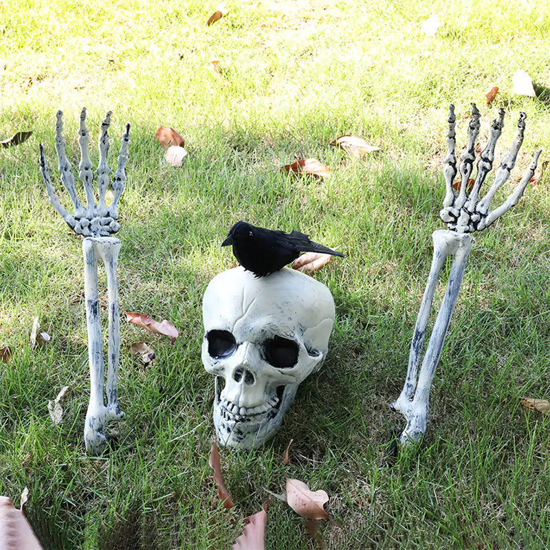 Decor Skull and Crow