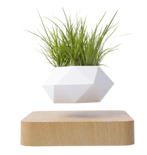 Magnetic Levitation Plant Pot